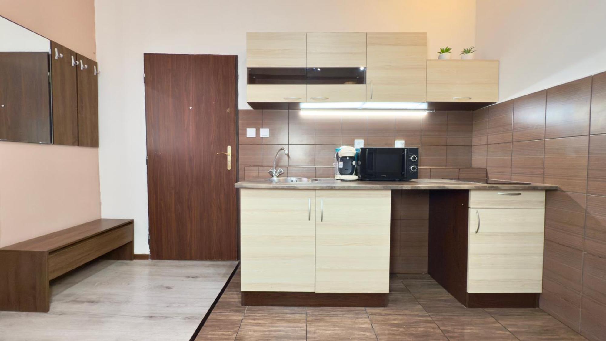 Plavecka Apartment Prag